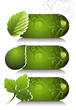 Card design with stylized leafs