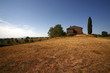Lazio, panorama  estivo di campagna