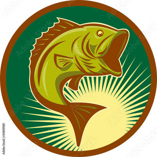largemouth bass jumping. largemouth bass jumping. Zoom Not Available: Vector images scale to any