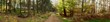 Waldweg - Wandverkleidung