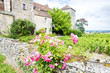 Gevrey-Chambertin Castle, Cote de Nuits, Burgundy, France Gevrey-Chambertin Castle, Cote de Nuits, Burgundy, France