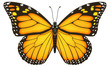 Monarchfalter, Schmetterling, Monarch, Falter Monarchfalter, Schmetterling, Monarch, Falter