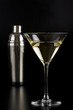 martini with shaker