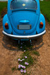 Old beetle