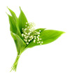 lilies of the valley lilies of the valley