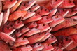 Fischmarkt