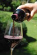 Rotwein