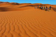 Group of people on camels in the Sahara desert, Morocco
