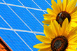 Photovoltaik