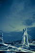 The bridge