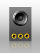 Speaker Speaker