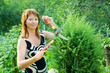 woman cutting  thuja