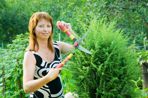 Foto: woman cutting thuja woman cutting thuja