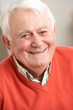 Senior Man Relaxing In Chair At Home