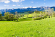 alpine landscape