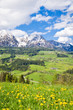 alpine landscape