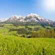 alpine landscape