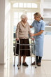 Carer Helping Elderly Senior Woman Using Walking Frame