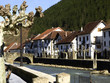 Ochagavia