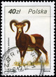 POLAND - CIRCA 1986 Argali