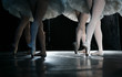 The ballerina The ballerina