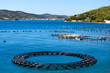 Adriatic Sea Business Adriatic Sea Business