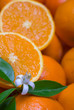 oranges with leafs and blossom in a white background