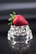 Studio shot of a strawberry.