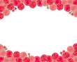 carnation background