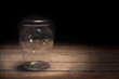 Fireflies in a jar