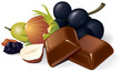 벡터 일러스트(편집용 파일):Chocolate, raisins, grapes, hazelnuts composition Chocolate, raisins, grapes, hazelnuts composition