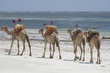 Foto: Kenia Africa _ Photo © Herby Meseritsch Kenia Africa _ Photo © Herby Meseritsch