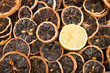 Slices of a dried lemon and slice of a fresh lemon