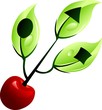 cherry with usb symbol