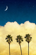 Photo: Moon Palms with Vintage Paper Textures Moon Palms with Vintage Paper Textures