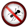 No Insects