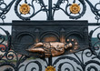Charles Bridge