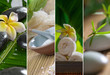 spa fragments