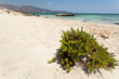 Elafonisi beach (Crete, Greece)