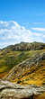 wild terrain