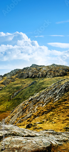 Photo: wild terrain wild terrain