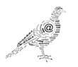 carrier pigeon