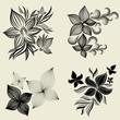 Vector set of flower design elements