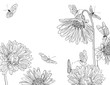 garden sketch
