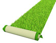 Green carpet