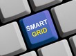 Smart Grid - Das Intelligente Stromnetz