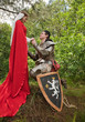 Photo: knight in armour and maid knight in armour and maid