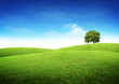 Foto: Green Summer Landscape Green Summer Landscape