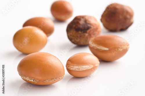 Photo: Argan fruits Argan fruits