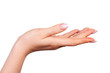 Beautiful female hand with french manicure